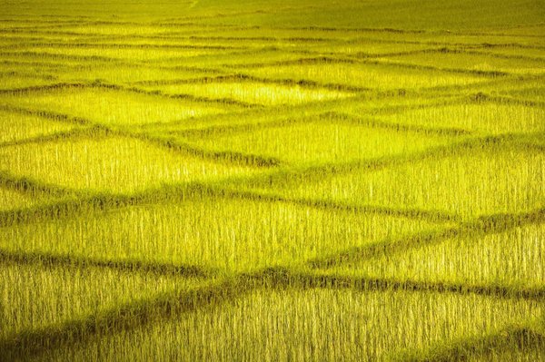 Wie man sein Spiel verbessert für nachhaltiges Wachstum